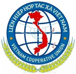 Liên minh hợp tác xã Việt Nam
