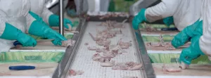 Thịt được xử lý hàng loạt nên rất khó để kiểm soát từng sản phẩm