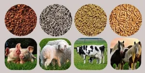 Nhu cầu dinh dưỡng đối với từng loại động vật là khác nhau