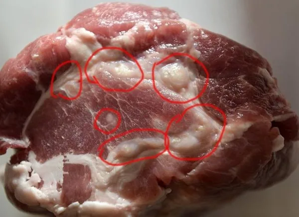 Kiểm tra chất lượng thịt