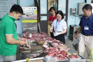 Lấy mẫu kiểm tra chất lượng thịt và sản phẩm thịt